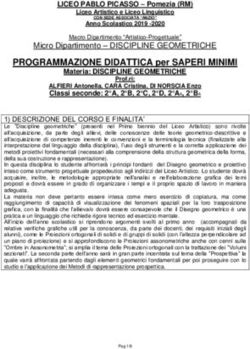 PROGRAMMAZIONE DIDATTICA per SAPERI MINIMI - Micro Dipartimento - DISCIPLINE GEOMETRICHE