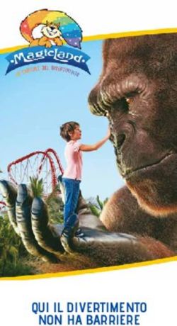 QUI IL DIVERTIMENTO NON HA BARRIERE - MagicLand