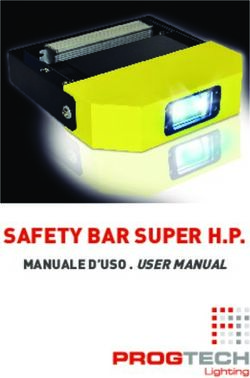 SAFETY BAR SUPER H.P - MANUALE D'USO . USER MANUAL - Progtech