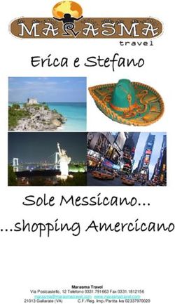 Erica e Stefano - Sole Messicano shopping Amercicano Marasma Travel Via Postcastello, 12 Telefono 0331.791663 Fax 0331.1812156 - Marasma Travel ...