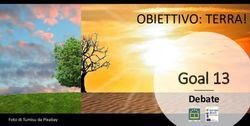 Goal 13 OBIETTIVO: TERRA! - Debate - Assemblea Legislativa