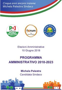 PROGRAMMA AMMINISTRATIVO 2018-2023 - Michela Palestra Candidata Sindaco - Elezioni Amministrative