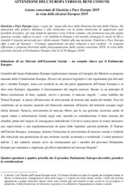 ATTENZIONE DELL'EUROPA VERSO IL BENE COMUNE - Azione concertata di Giustizia e Pace Europa 2019 in vista delle elezioni Europee 2019