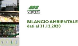 BILANCIO AMBIENTALE dati al 31.12.2020 - ECO-RICICLI ...