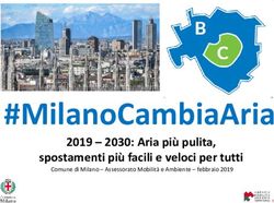#MilanoCambiaAria 2019 - 2030: Aria pi&ugrave; pulita, spostamenti pi&ugrave; facili e veloci per tutti