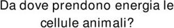 Da dove prendono energia le cellule animali?