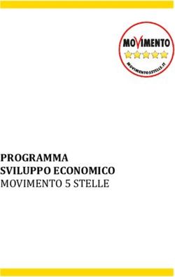 PROGRAMMA SVILUPPO ECONOMICO MOVIMENTO 5 STELLE - Il Foglio