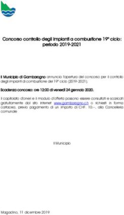 Concorso controllo degli impianti a combustione 19 ciclo: periodo 2019-2021 - Gambarogno