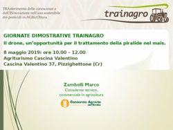 Zambelli Marco Consulente tecnico, commerciale In agricoltura - TRAIN-AGRO