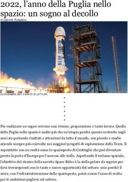 L'anno della Puglia nello spazio: un sogno al decollo