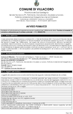 COMUNE DI VILLACIDRO Provincia del Sud Sardegna - Regione Sardegna