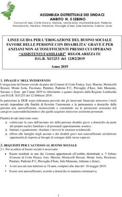 ASSEMBLEA DISTRETTUALE DEI SINDACI AMBITO N. 5 SEBINO - Comune di Iseo