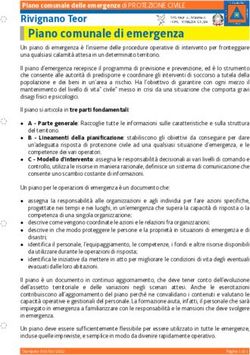 Piano comunale di emergenza