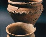 PROPOSTE DIDATTICHE 2018/2019 - Museo di Archeologia e Scienze Naturali - Didattica 2018/2019