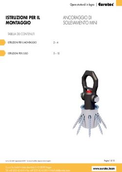 ISTRUZIONI PER IL MONTAGGIO - ANCORAGGIO DI SOLLEVAMENTO MINI - Eurotec