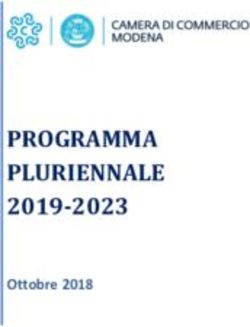 PROGRAMMA PLURIENNALE - 2019-2023 Ottobre 2018 - Camera di Commercio di ...