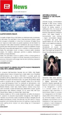 News - Editoriale Delfino