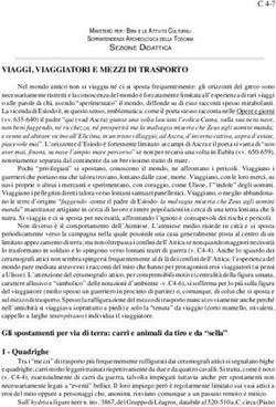 VIAGGI, VIAGGIATORI E MEZZI DI TRASPORTO