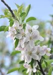 FERMENT O Mensile dell'Arcidiocesi di Amalfi - Cava de'Tirreni Anno XXV n.4 - APRILE 2019 - La diocesi Amalfi