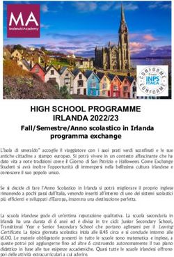 HIGH SCHOOL PROGRAMME IRLANDA 2022/23 - Fall/Semestre/Anno scolastico in Irlanda programma exchange