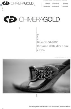 Bilancio SA8000 Riesame della direzione 2019 - Approvato Il 17.06.2019 - Chimera Gold