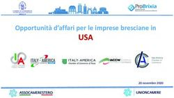 USA Opportunit&agrave; d'affari per le imprese bresciane in - 20 novembre 2020 - Brixia Forum