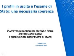 I profili in uscita e l'esame di Stato: una necessaria coerenza - L' ASSETTO DIDATTICO DEL SECONDO CICLO: ASPETTI SIGNIFICATIVI E CORRELAZIONI CON ...
