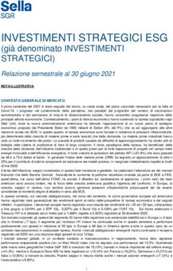INVESTIMENTI STRATEGICI ESG - (gi&agrave; denominato INVESTIMENTI STRATEGICI) - Sella SGR