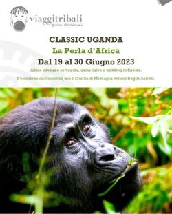 CLASSIC UGANDA La Perla d'Africa Dal 19 al 30 Giugno 2023 - Africa intensa e selvaggia, game drive e trekking in foresta. L'emozione dell'incontro ...