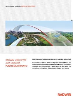 RADWIN 5000 HPMP ALTA CAPACITÀ PUNTO-MULTIPUNTO