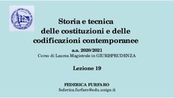 Storia e tecnica delle costituzioni e delle codificazioni contemporanee - Lezione 19