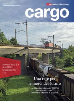 Una rete per le merci del futuro - Incontro tra CEO: Josef Dittli, presidente VAP - SBB Cargo