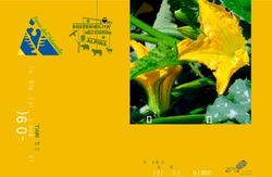 LA COMPAGNIA ORTO PREMIO AL MIGLIOR ORTO ALPINO - DELLA VALLE CAMONICA 2019 - Parco dell'Adamello