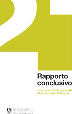 Rapporto conclusivo concernente l'attuazione del Piano di studio 21 Grigioni - Kanton Graub&uuml;nden