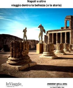 Napoli e oltre viaggio dentro la bellezza (e la storia) - Amazon S3