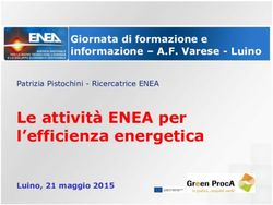 Le attivit&agrave; ENEA per l'efficienza energetica - Patrizia Pistochini - Ricercatrice ENEA