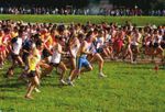 Le tessere Uisp: www.uisp.it - Gli Sbandati ASD