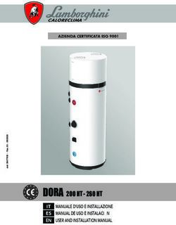 DORA 200 HT - 260 HT IT MANUALE D'USO E INSTALLAZIONE ES MANUAL DE USO E INSTALACI&Oacute;N EN USER AND INSTALLATION MANUAL - Lamborghini Calor