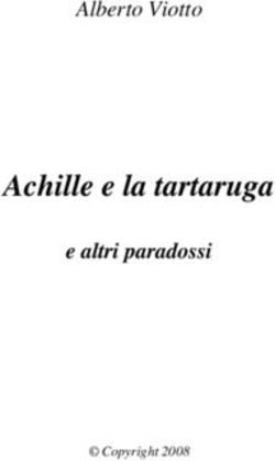 Achille e la tartaruga - e altri paradossi - Alberto Viotto