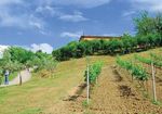 Un incontro eccezionale con la natura e la diversità - PERCORSI DI EDUCAZIONE AMBIENTALE - Ca ...