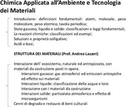 Chimica Applicata all'Ambiente e Tecnologia dei Materiali