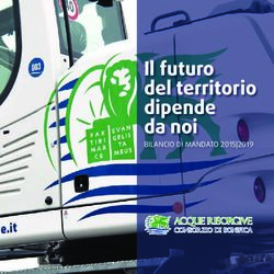 Il futuro del territorio dipende da noi - bilancio di mandato 2015|2019 - Acque Risorgive