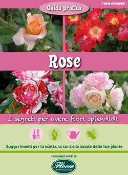 Rose I segreti per avere fiori splendidi - Guida pratica - Flover