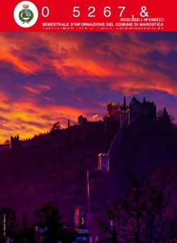 SEMESTRALE D'INFORMAZIONE DEL COMUNE DI MAROSTICA