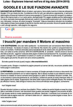 GOOGLE E LE SUE FUNZIONI AVANZATE - Luiss - Esplorare Internet nell'era di big data (2014-2015)