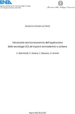 Valutazione tecnico economica dell'applicazione delle tecnologie CCS ad impianti termoelettrici a carbone - ENEA