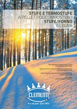 STUFE E TERMOSTUFE A PELLET POLICOMBUSTIBILI