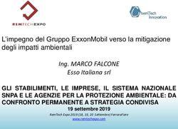 Ing. MARCO FALCONE Esso Italiana srl - L'impegno del Gruppo ExxonMobil verso la mitigazione degli impatti ambientali - Remtech Expo