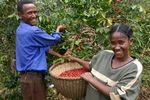 Eco turismo sulle strade del caffè nell'area del Sidamo, in Etiopia: una via alternativa nella lotta alla povertà - Un innovativo programma di ...