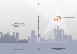 ITALIAN PROFESSIONAL LIGHTING